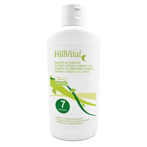 HillVital Šampón 2v1 250 ml